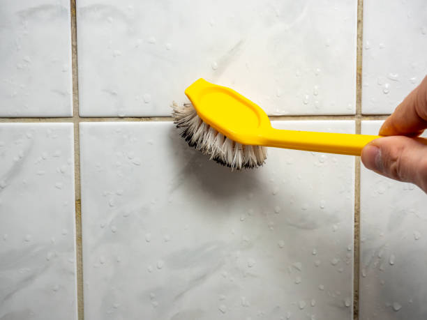 Trusted Dundalk, MD Mold Removal Experts