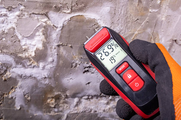 Home Mold Removal in Dundalk, MD