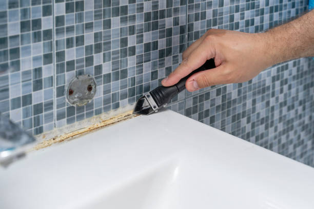 Best Mold Testing  in Dundalk, MD