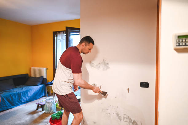 Best Black Mold Removal  in Dundalk, MD